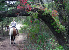 USA-Texas-Equestrian Lodge